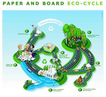 paper and board eco cycle